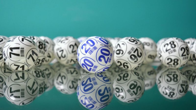 新万博选码全攻略：概率思维与理性参与