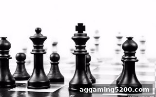 新万博主推：围棋棋手职业发展全路径深度解析——从入门到巅峰的生涯蓝图