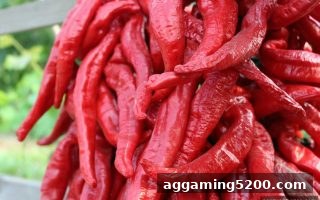 新万博奇幻玩法深度解析：从主题设计到进阶策略的全景指南