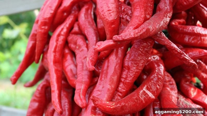新万博奇幻玩法深度解析：从主题设计到进阶策略的全景指南