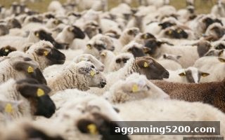 新万博即时比分反馈全攻略：从问题诊断到高效解决